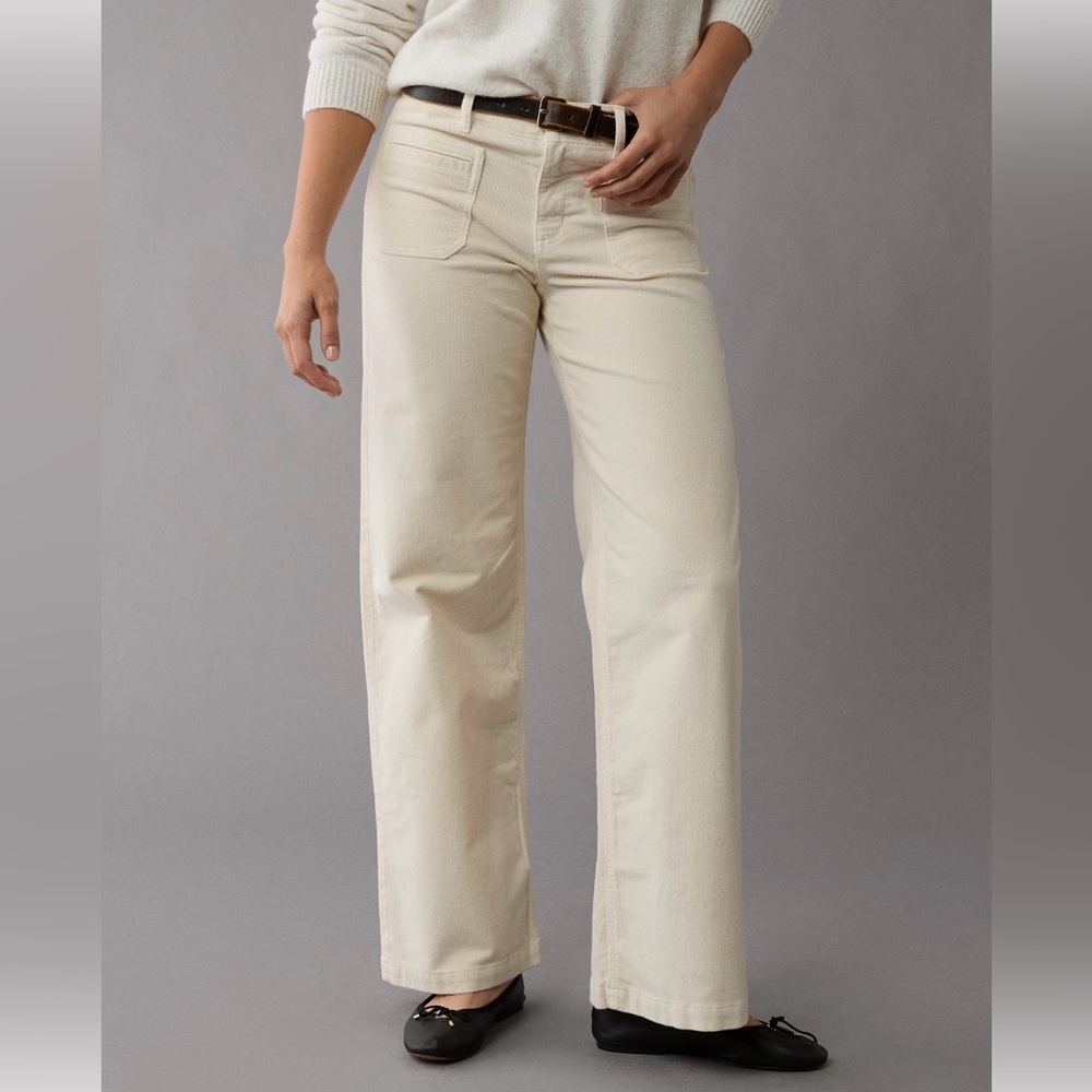 American Eagle Outfitters Stretch Corduroy Low-Rise Baggy Wide-Leg Pant Size 8